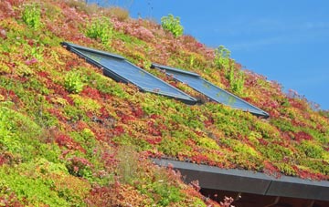 Nawton living roof systems