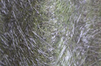 Nawton fibreglass roof work